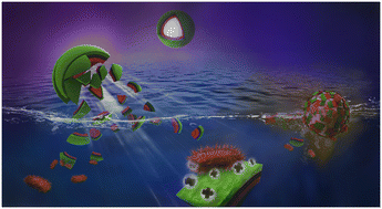 Graphical abstract: Synergistic dispersion and biodegradation of oil in seawater based on Janus nanosheets and oil-degrading bacteria