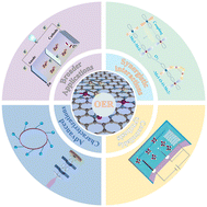 Graphical abstract: Advanced dual-atom catalysts for efficient oxygen evolution reaction