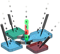 Graphical abstract: Logic gating of low-abundance molecules using polyelectrolyte-based diodes