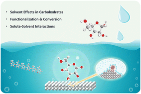 Graphical abstract: Solvent effects on carbohydrate transformation: insights into chemical pathway modulation