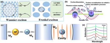 Graphical abstract: Plexcitonics: plasmon–exciton coupling for enhancing spectroscopy, optical chirality, and nonlinearity