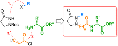 Graphical abstract: Facile modular synthesis of jasmonoyl-l-isoleucine analogs possessing a pyrazolidin-3-one core