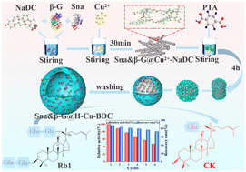 Graphical abstract: Construction of a hollow MOF with high sedimentation performance and co-immobilization of multiple-enzymes for preparing rare ginsenoside CK