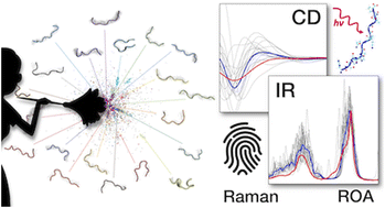 Graphical abstract: Tidying up the conformational ensemble of a disordered peptide by computational prediction of spectroscopic fingerprints