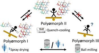 Graphical abstract: Unveiling polyamorphism and polyamorphic interconversions in pharmaceuticals: the peculiar case of hydrochlorothiazide