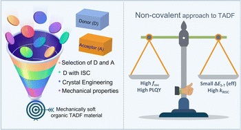 Graphical abstract: Thermally activated delayed fluorescence in a mechanically soft charge-transfer complex: role of the locally excited state