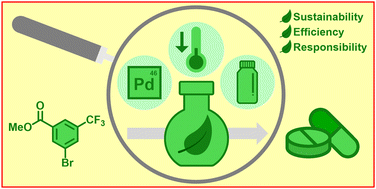 Graphical abstract: A focus on sustainable method development for greener synthesis