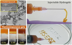 Graphical abstract: Effect of small amounts of akaganeite (β-FeOOH) nanorods on the gelation, phase behaviour and injectability of thermoresponsive Pluronic F127