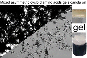 Graphical abstract: Mixed cyclo di-amino acids structured edible oils: a potential hardstock fat mimic