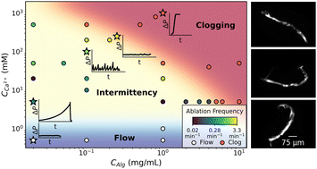 Graphical abstract: In situ polymer gelation in confined flow controls intermittent dynamics