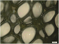 Graphical abstract: Castor-oil biobased foam: the effect of the composition on the physical and mechanical properties via a statistical mixture design