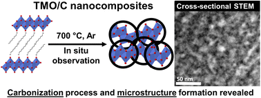 Graphical abstract: Mechanistic understanding of microstructure formation during synthesis of metal oxide/carbon nanocomposites