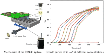 Graphical abstract: Real-time microbial growth curve (RMGC) system: an improved microplate reader with a graphical interface for automatic and high-throughput monitoring of microbial growth curves