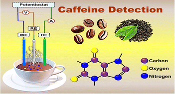 Graphical abstract: An electrochemical bio-electronic tongue based on borophene/PPy@ITO hybrid for selective caffeine identification