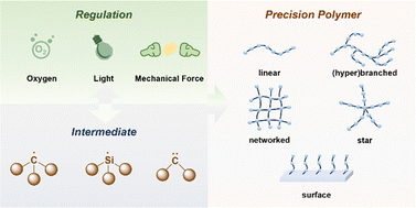Graphical abstract: Oxygen, light, and mechanical force mediated radical polymerization toward precision polymer synthesis
