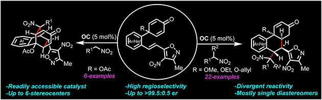 Graphical abstract: Asymmetric desymmetrization of 2,5-cyclohexadienones initiated by organocatalytic conjugate addition to 4-nitro-5-styrylisoxazoles