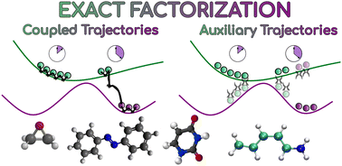 Graphical abstract: Simulations of photoinduced processes with the exact factorization: state of the art and perspectives