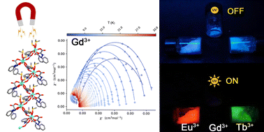 Graphical abstract: Photoluminescence and magnetic properties of isostructural europium(iii), gadolinium(iii) and terbium(iii) oxamate-based coordination polymers
