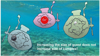 Graphical abstract: Cation induced changes to the structure of cryptophane cages