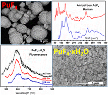 Graphical abstract: Chemical and spectroscopic characterization of plutonium tetrafluoride