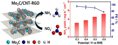 Graphical abstract: Enhanced electrochemical nitrate reduction to ammonia with nanostructured Mo2C on carbon nanotube-reduced graphene oxide hybrid support