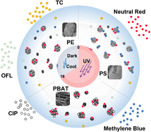 Graphical abstract: Characteristics and adsorption behavior of typical microplastics in long-term accelerated weathering simulation