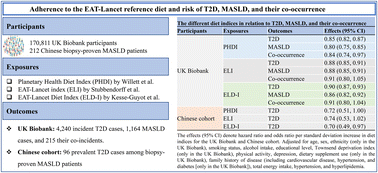 Graphical abstract: Adherence to the EAT-Lancet reference diet and risk of type 2 diabetes, metabolic dysfunction-associated steatotic liver disease, and their co-occurrence