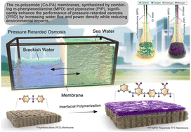 Graphical abstract: Enhancing sustainable energy production through co-polyamide membranes for improved pressure-retarded osmosis performance and environmental impact: synthesis and life cycle analysis