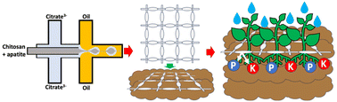 Graphical abstract: Sustainable fertiliser mesh, ‘4D’-precision engineered by flow chemistry: minimising agrochemical pollution