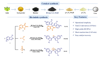 Graphical abstract: Revolutionizing green catalysis: a novel amla seed derived biochar modified g-C3N4·SO3H catalyst for sustainable and versatile synthesis of bis-indoles