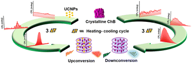 Graphical abstract: Clustering triggered emissive liquid crystalline template for dual mode upconverted and downconverted circularly polarized luminescence