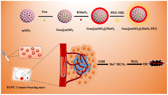 Graphical abstract: Mesoporous SiO2 based nanocomplex enzymes for enhanced chemodynamic therapy of pancreatic tumors
