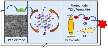 Graphical abstract: Superior photoconversion efficiency of nanocrystal sensitized solar cells based on all-inorganic CsPbX3 (X = Br, I) perovskites
