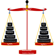 Graphical abstract: Role of silver nanoparticles and silver nanoclusters for the detection and removal of Hg(ii)