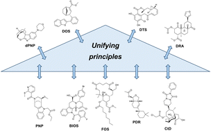 Graphical abstract: Unifying principles for the design and evaluation of natural product-inspired compound collections