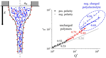 Graphical abstract: Charge transport in electrospinning of polyelectrolyte solutions
