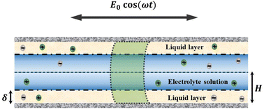 Graphical abstract: Dynamic electroosmotic flow and solute dispersion through a nanochannel filled with an electrolyte surrounded by a layer of a dielectric and immiscible liquid