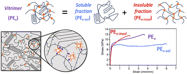 Graphical abstract: Composition–structure–property relationships of polyethylene vitrimers crosslinked by 8-arm polyhedral oligomeric silsesquioxane