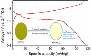 Graphical abstract: An unconventional charge compensation mechanism for proton insertion in aqueous Zn-ion batteries