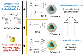 Graphical abstract: Biological activation of Fenton reaction in polymeric nanoreactors driven by ferrocene-containing membranes: a microenvironment dependent study