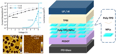 Graphical abstract: Blade-coated perovskite nanoplatelet polymer composites for sky-blue light-emitting diodes