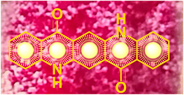 Graphical abstract: Quinacridone dyes: versatile molecules and materials for photo- and photoelectrochemical processes