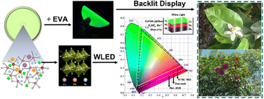 Graphical abstract: Ultrastable germanium oxide induced self-crystallization of CsPbBr3@glass for white light-emitting devices and wide color gamut backlight displays