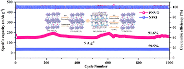 Graphical abstract: Enhanced electrochemical performance of NH4V4O10 in aqueous zinc-ion batteries via PVP intercalation and oxygen vacancy engineering