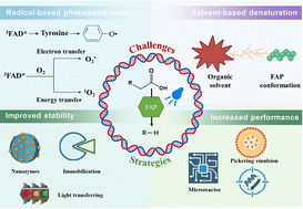 Graphical abstract: Photo-driven decarboxylation for sustainable biofuel production: a review on harnessing the potential of fatty acid decarboxylases