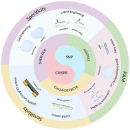 Graphical abstract: CRISPR-based SNP detection technologies advance from classical methods to cutting-edge innovations