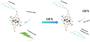 Graphical abstract: Fluorescence quenching-based sensing of ofloxacin using dual-nuclear terbium complex