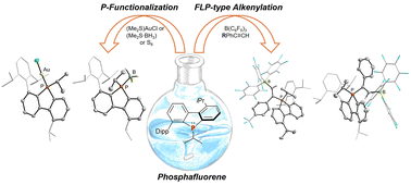 Graphical abstract: FLP-type alkenylation of a phosphafluorene