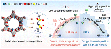 Graphical abstract: Single-atom catalyzed formation of inorganic-rich SEI/CEI for durable anode-free solid-state lithium metal batteries