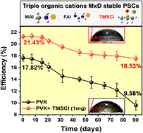 Graphical abstract: A hydrophobic organic spacer cation for improving moisture resistance and efficiency in mixed-dimensional perovskite solar cells